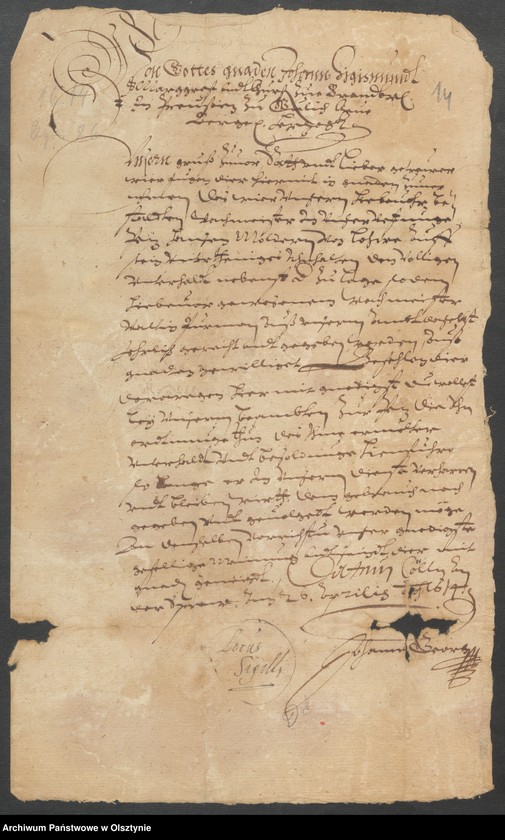 image.from.unit.number "Militärischen Kriegsvorbereitungen Stellen von Dienstpferden Berichte und Rescripte"