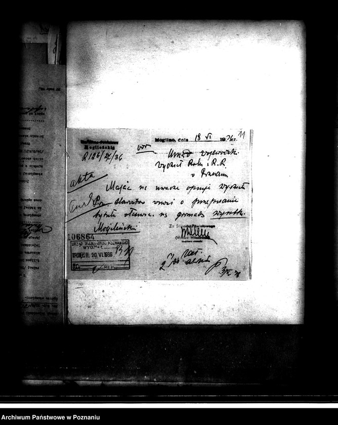 Obraz 15 z jednostki "Stawiska B 5 i 6 powiatu mogileńskiego /osada parcelacyjna/"