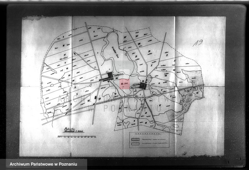 image.from.unit.number "Plan urządzenia gospodarstwa leśnego dla lasu majętności Lubosina powiat szamotulski 1938-1948"