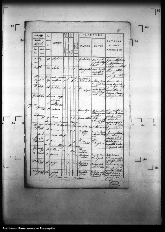 image.from.unit.number "[Kopie ksiąg metrykalnych parafii Pełniatycze z filiami Cząstkowice, Czelatyce, Roźwienica, Rożniatów, Rudołowice, Wola Roźwienicka (dekanat Pruchnik)]"