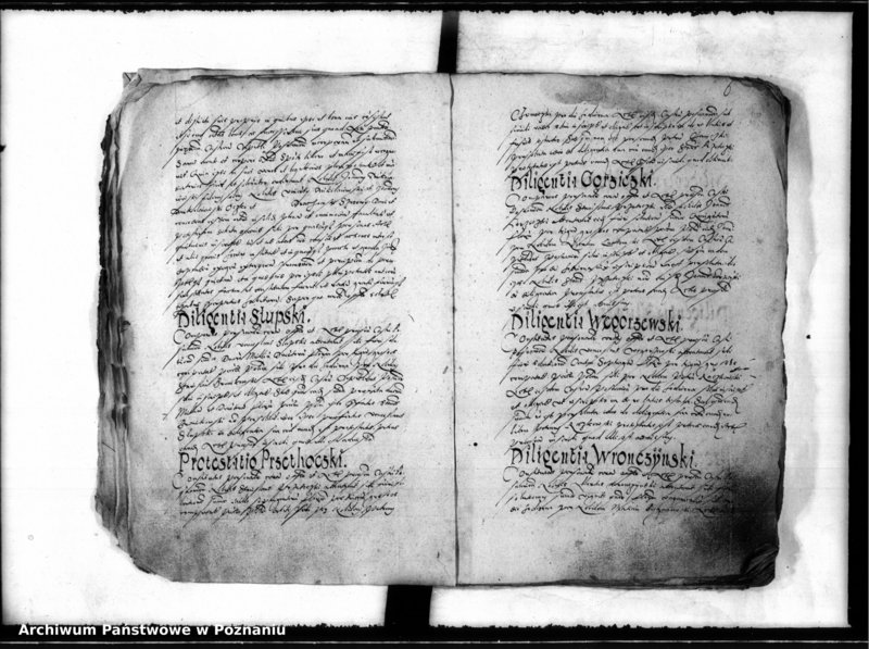 Obraz 10 z jednostki "Inscriptiones, relationes [inducta]"