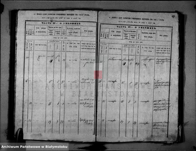 image.from.unit.number "[Akta zgonów za rok 1854]"