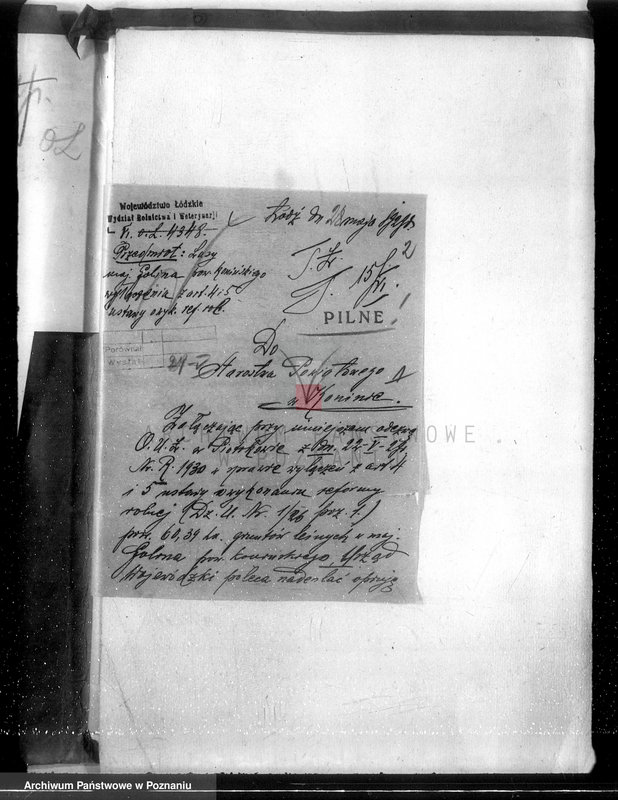 Obraz 6 z jednostki "Majątek Goliński powiat koniński /nadzór nad gospodarką leśna/"