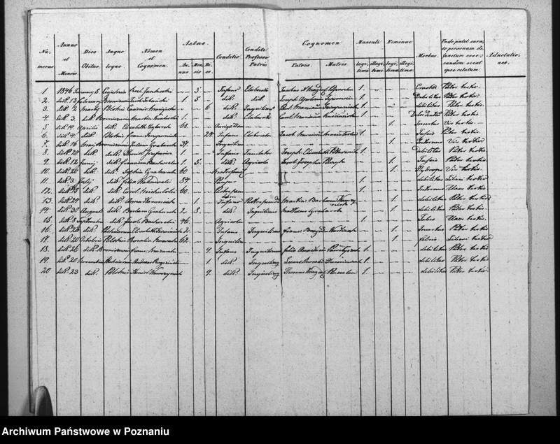 image.from.unit.number "Duplikat urodzonych, zaślubionych i zmarłych"