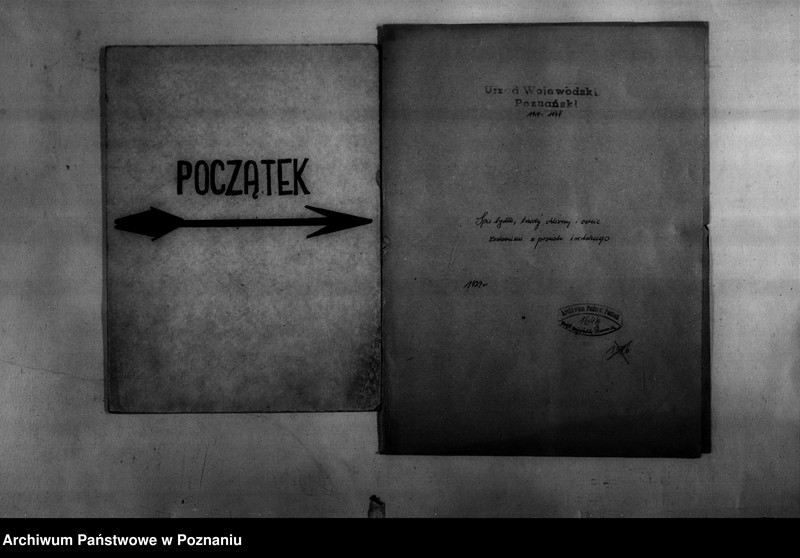 Obraz 2 z jednostki "Spis koni, bydła, trzody chlewnej i owiec - zestawienie z terenu powiatu średzkiego"