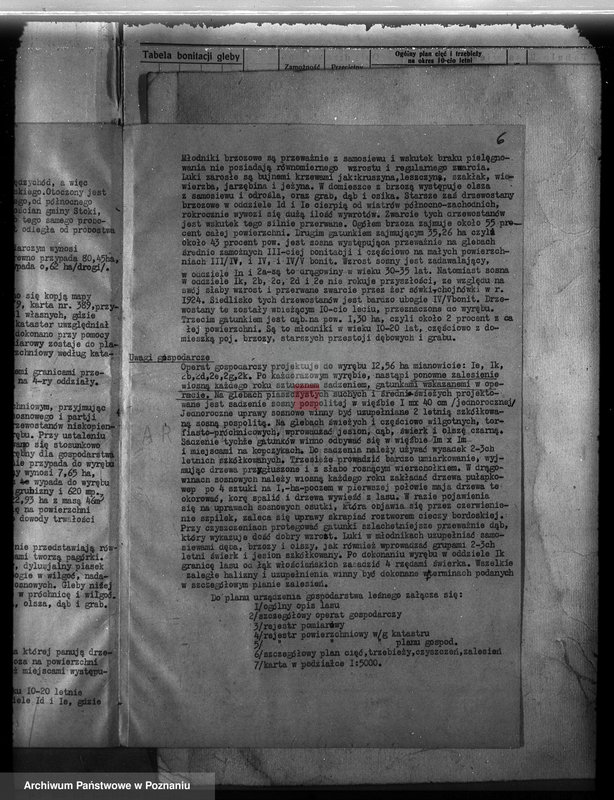 Obraz 10 z jednostki "Probostwo Stoki" powiat międzychodzki plan urządzenia gospodarstwa leśnego"