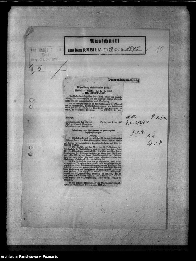 Obraz 14 z jednostki "Bekämpfung der Räude der Einhufer - Pferde, Gaszelle zur Behandlung räudekranker Pferde."
