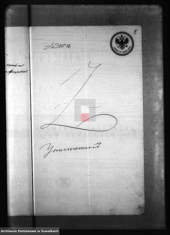 Obraz 12 z jednostki "Dokumenty k Aktam brakosočestavšich Krasnopolskago Prichoda za 1873 god."