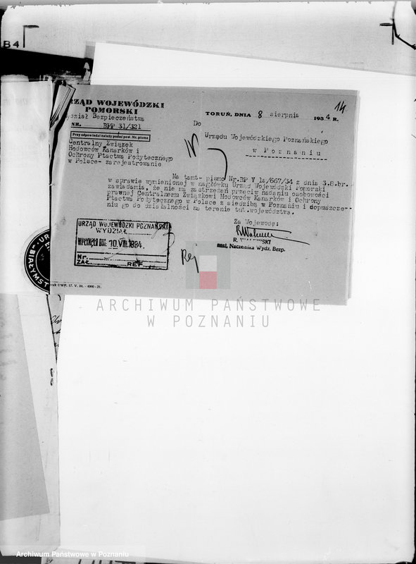 Obraz 19 z jednostki "/Centralny Związek Hodowców Kanarków i Ochrony Ptactwa Pożytecznego-Oddział w Poznaniu/"