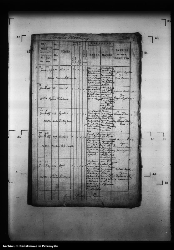 Obraz 5 z jednostki "[Kopie ksiąg metrykalnych parafii Wierzbiany (dekanat Niemirów)]"