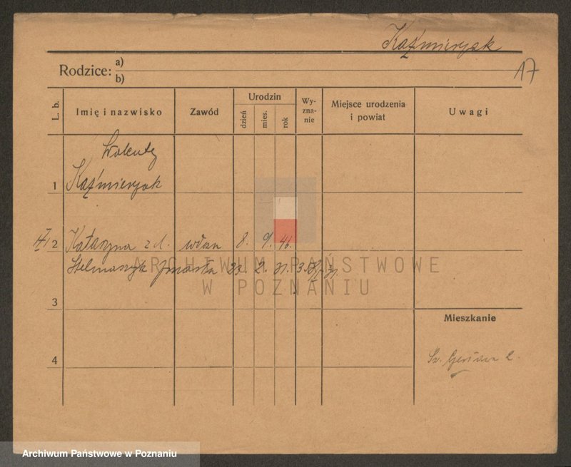 Obraz 17 z jednostki "Kaźmierczak (wdowy, samotni mężczyźni i kobiety)"