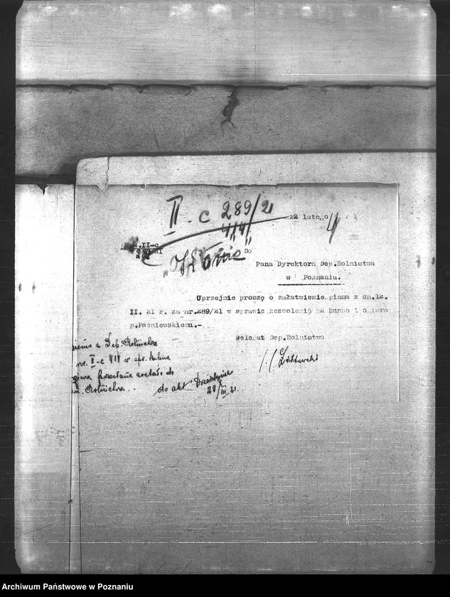 Obraz 8 z jednostki "Konie"