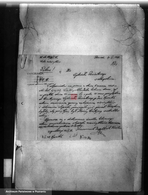 Obraz 16 z jednostki "Zalesienie nieużytków w powiecie mogileńskim"