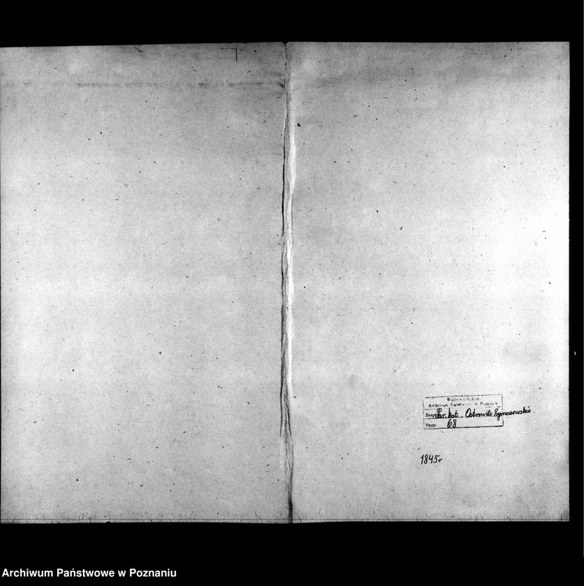 image.from.unit.number "Duplicatus baptisatorum, copulatorum, mortuorum"