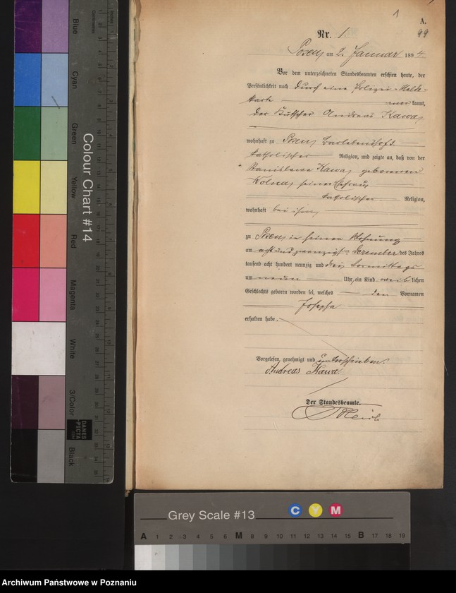 Obraz 4 z jednostki "Księga urodzeń t. I"