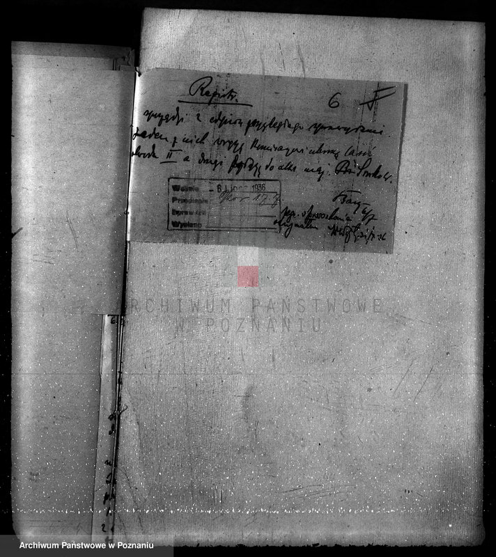 Obraz 10 z jednostki "Majętność leśna Srocko-Wielkie powiat kościański"