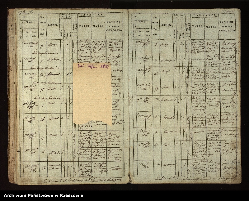 image.from.unit.number "Księga urodzeń dla miejscowości Stefkowa"