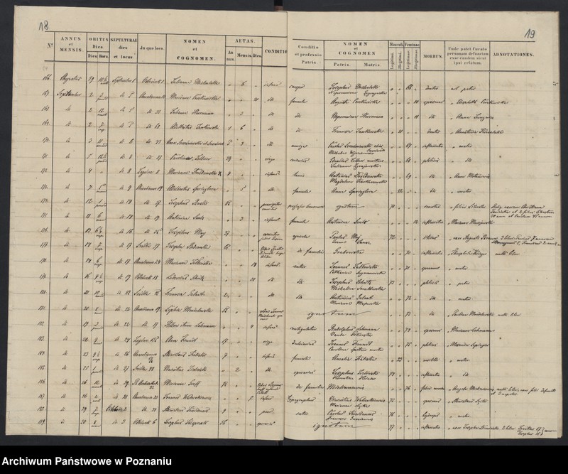 Obraz 12 z jednostki "Indeks zgonów"