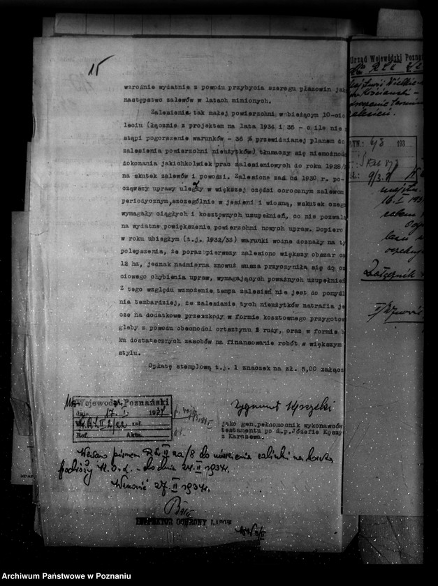 Obraz 19 z jednostki "Majętność /leśna/ Wielkie Łęki powiat kościański"