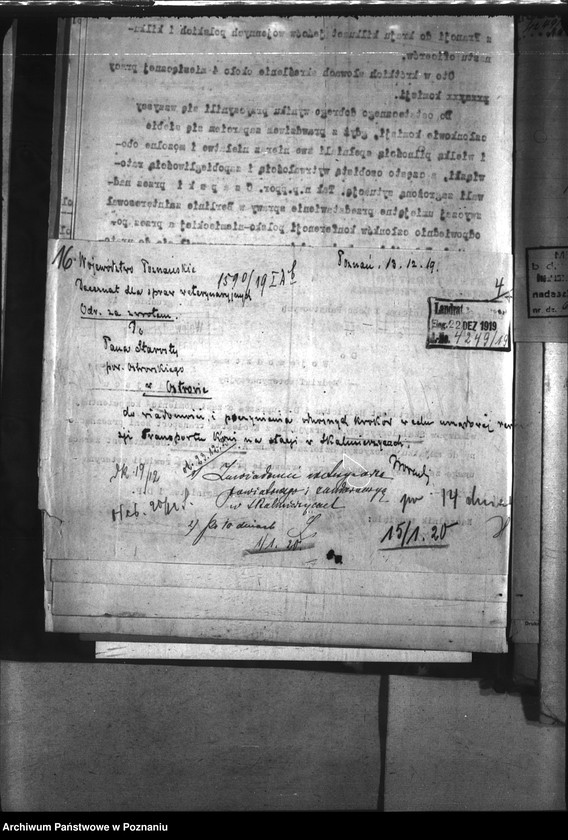 Obraz 20 z jednostki "Przemytnictwo koni"