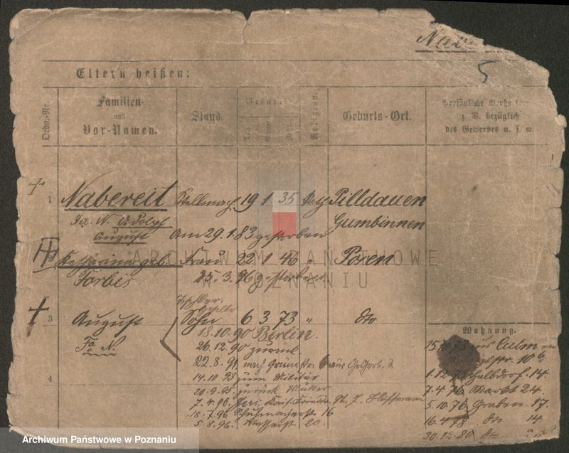 Obraz 5 z jednostki "Nabel - Nagel"