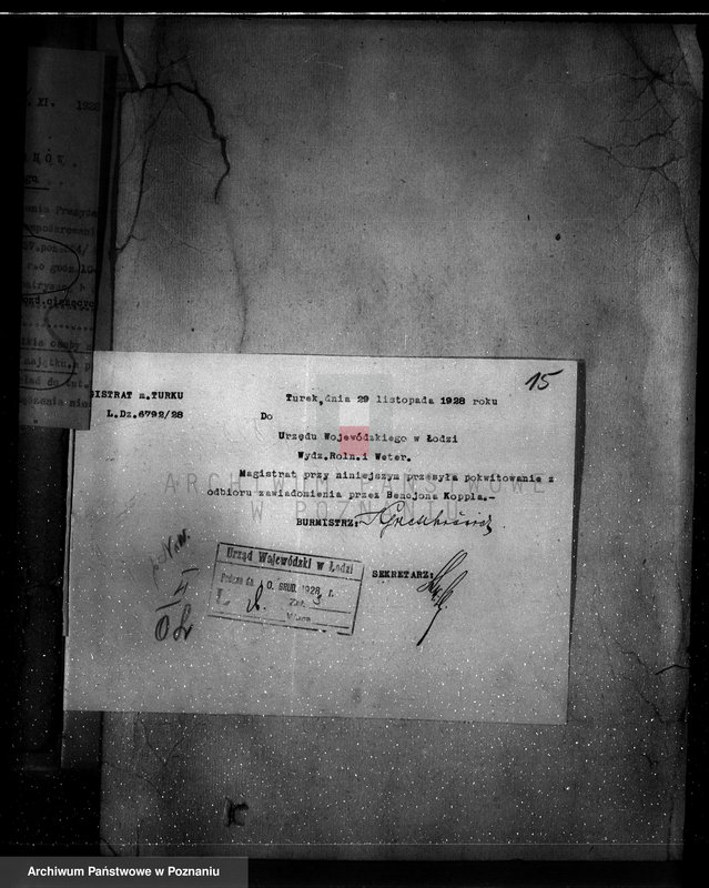 Obraz 19 z jednostki "Zmiana częściowej zmiany orzeczenia dotyczącego lasu majątku Zdzenice powiat turecki"