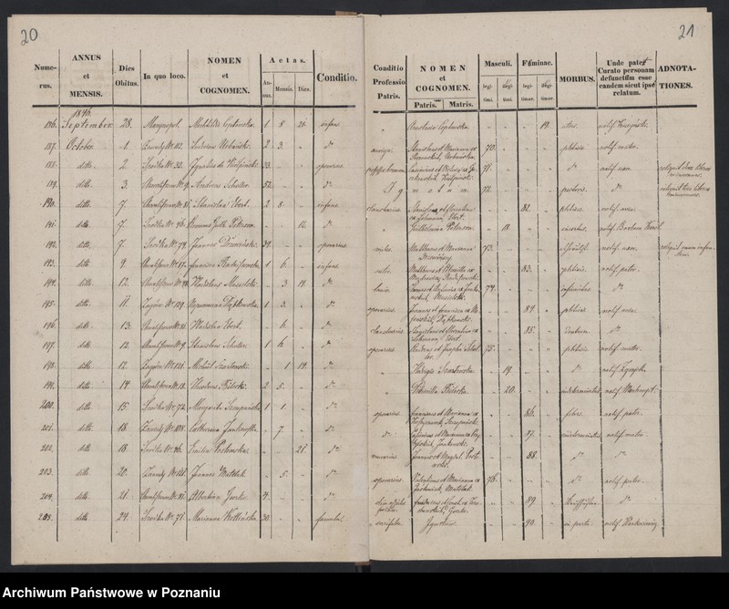 Obraz 13 z jednostki "Księga zgonów"