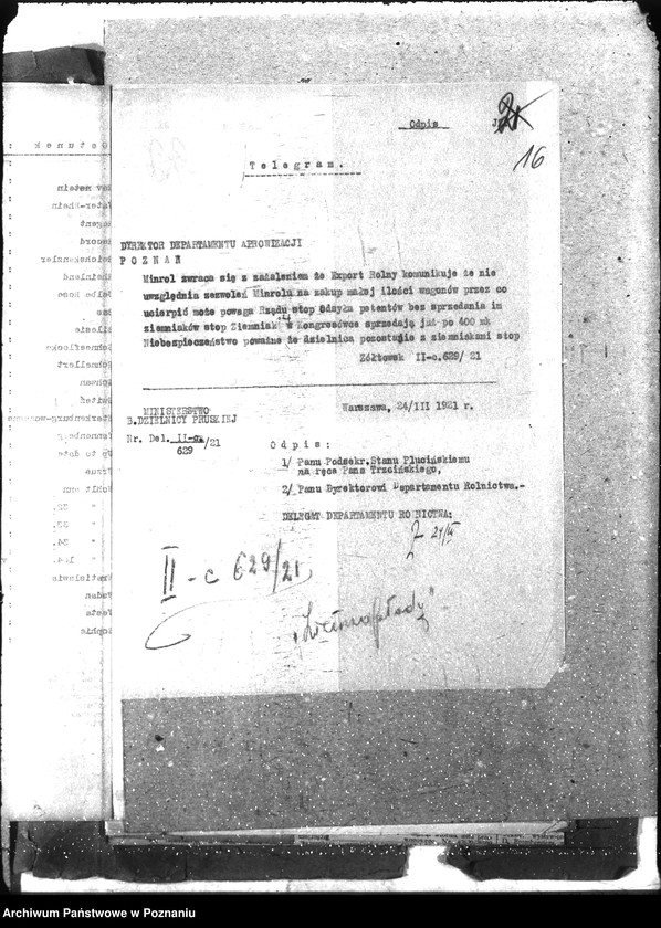 Obraz 20 z jednostki "Ziemiopłody"