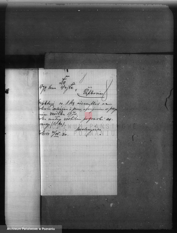 Obraz 12 z jednostki "Zalesienie nieużytków w powiecie poznańskim"