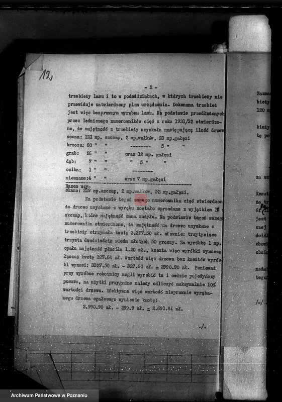 Obraz 16 z jednostki "Las majętności Bieczyny powiat kościański"