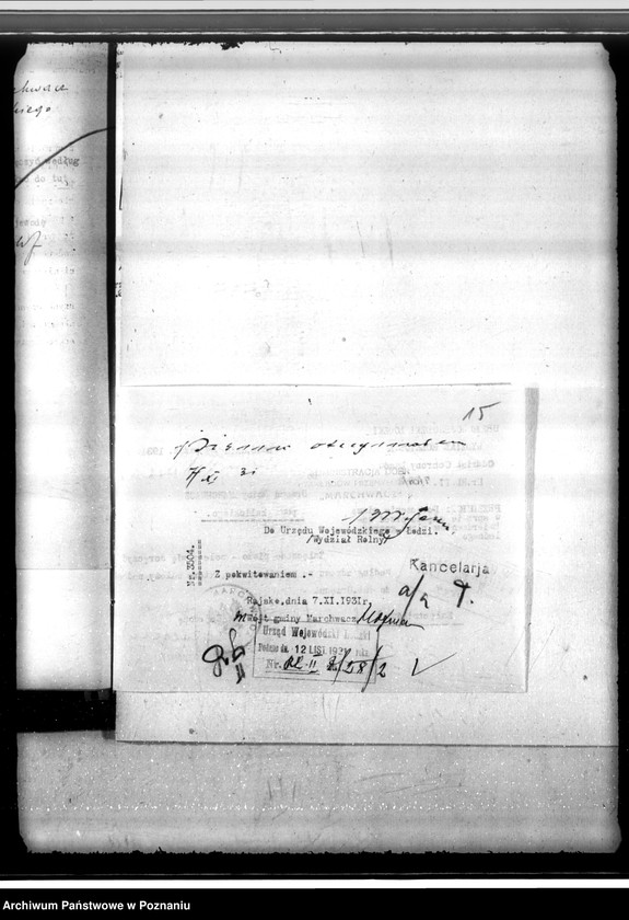 Obraz 19 z jednostki "Zatwierdzenie projektu planu gospodarstwa leśnego dla lasów majątku Marchwacz powiatu kaliskiego"