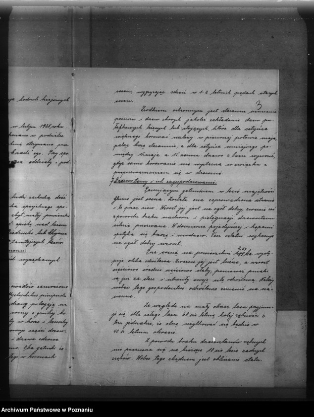 Obraz 6 z jednostki "Program urządzenia gospodarstwa leśnego dla lasu majętności Glinno powiat poznański 1928-1938"