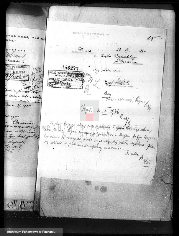 Obraz 19 z jednostki "Nadzór nad gospodarką w lasach majętności Gorzno-Biniew powiat ostrowski"