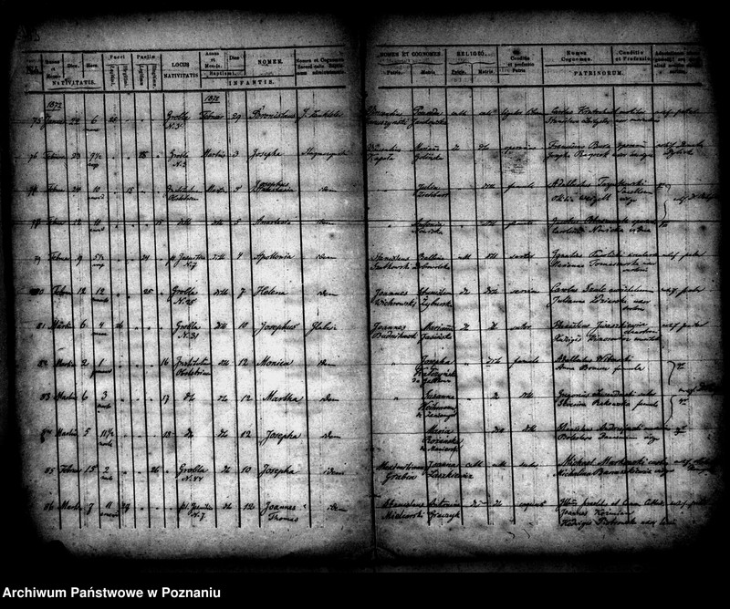 Obraz 8 z jednostki "Księga urodzin"