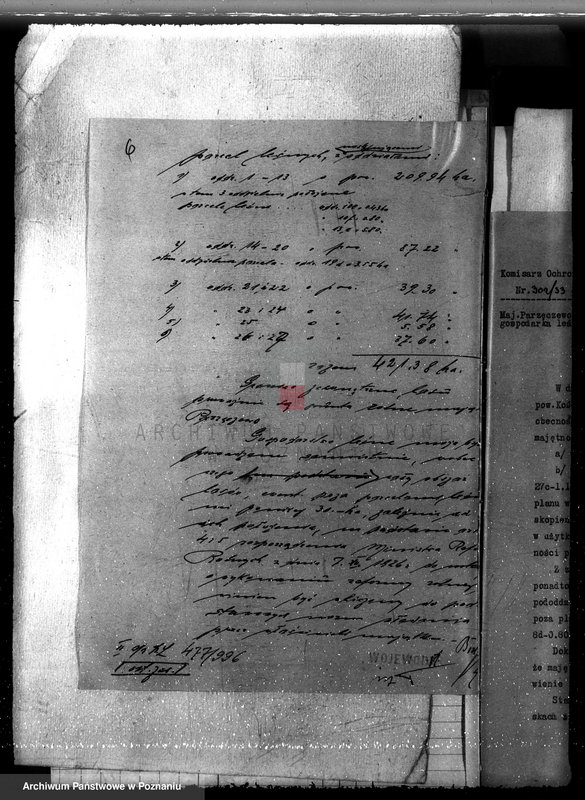 Obraz 10 z jednostki "Majętność leśna w Parzęcinie powiat kościański"