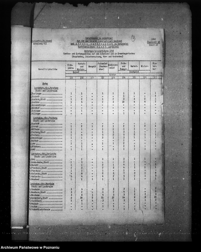 Obraz 17 z jednostki "Baden"