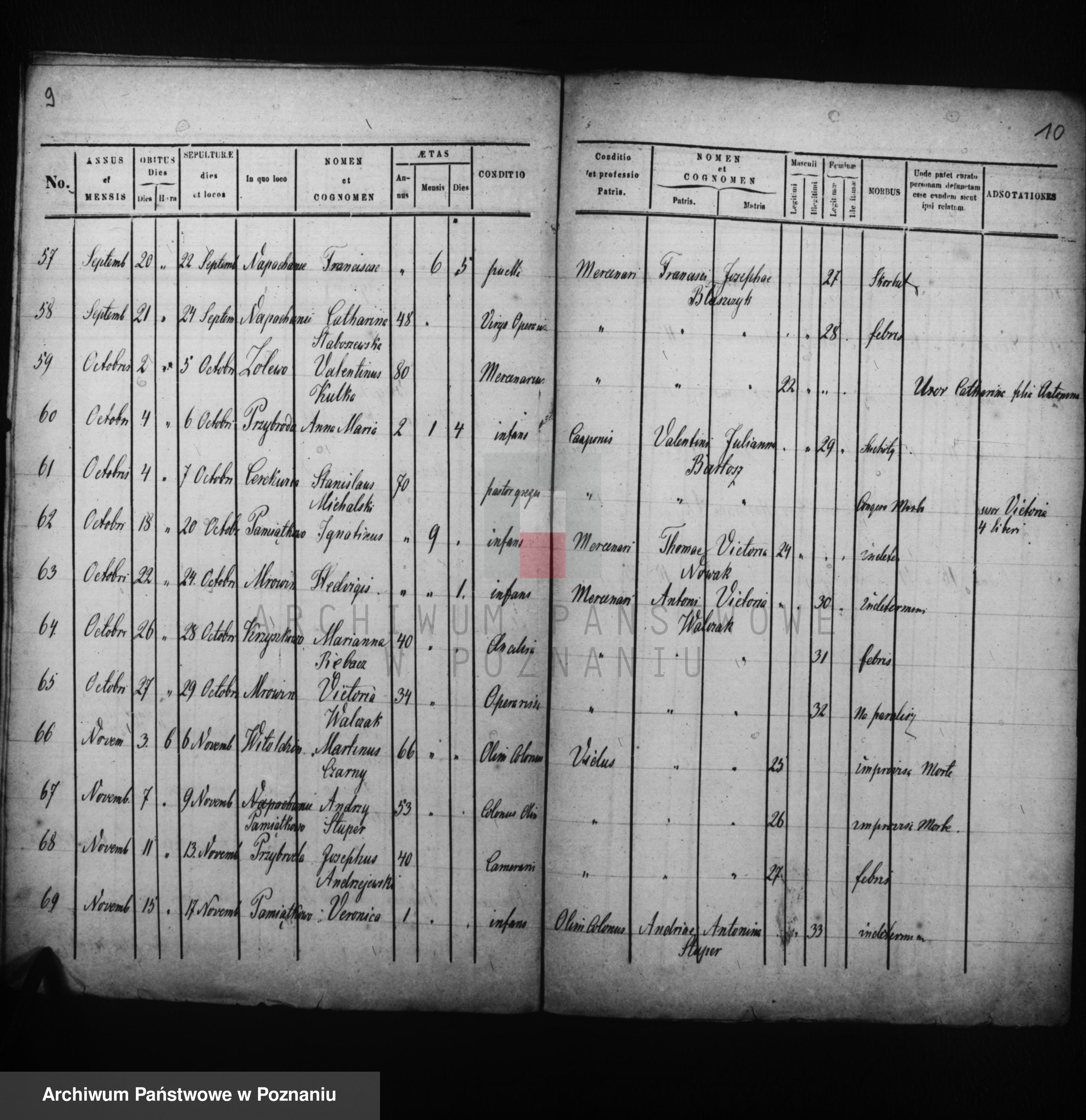 Skan z jednostki: Liber mortuorum