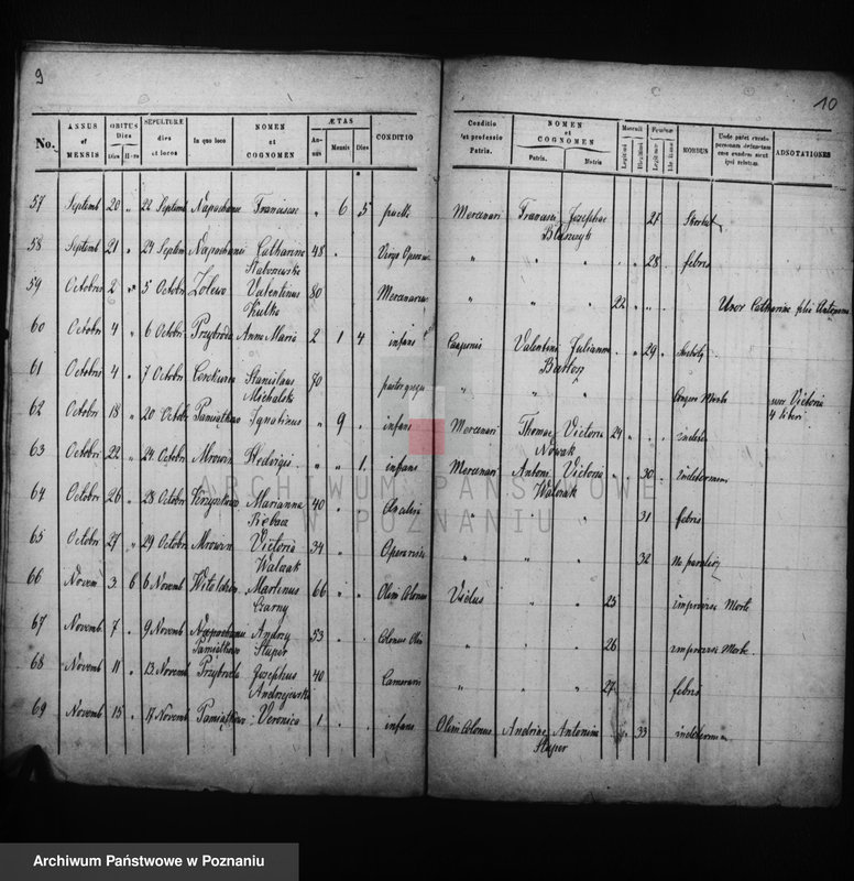 Obraz 7 z jednostki "Liber mortuorum"