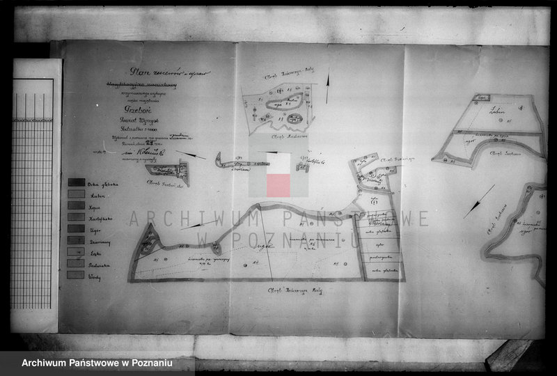 Obraz 9 z jednostki "Rejestr pomiarowy zasiewów i upraw majątku Trzeboń powiatu wyrzyskiego"