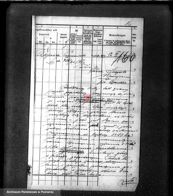 Obraz 20 z jednostki "/Nadzór nad lasami majętności Maciejewo w powiecie czarnkowskim/"