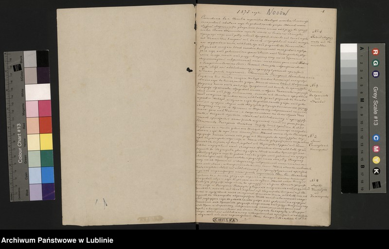 Obraz z jednostki "Księga urodzeń, małżeństw i zgonów"