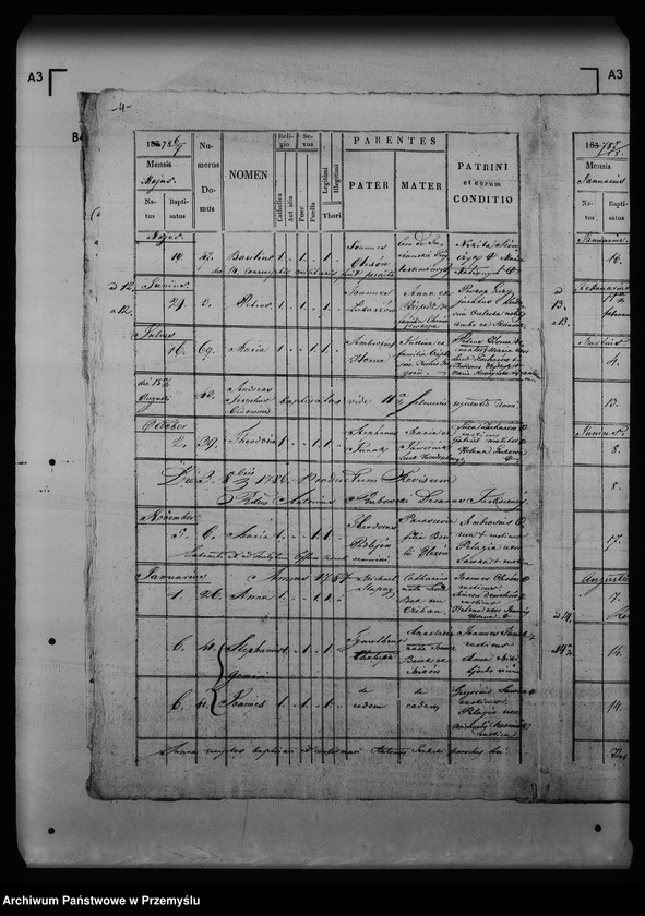 image.from.unit.number "[Kopie ksiąg metrykalnych parafii Szczawne z filią Kulaszne (dekanat Łupków)]"