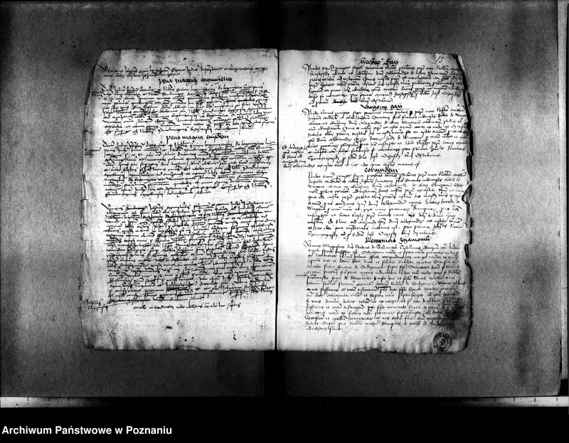 Obraz 19 z jednostki "Resignationes ,inscriptiones, relationes, decreta [protocollon]"