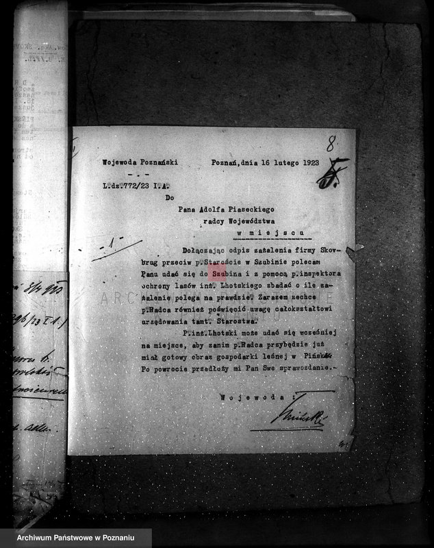 Obraz 12 z jednostki "Majętność leśna Pińsko powiat szubiński"