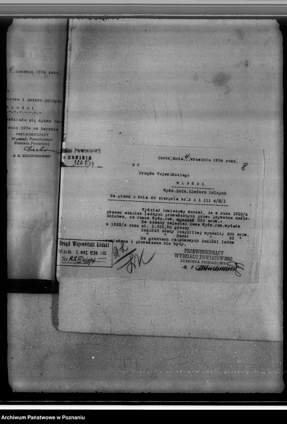 Obraz 12 z jednostki "Akta sprawy zalesienia nieużytków w powiecie konińskim"