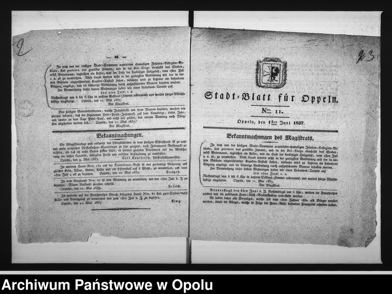 Obraz 6 z jednostki "Acta des Magistrats zu Oppeln betreffend: die Vermiethung zweier Wohnungs - Locale in dem zur Kranken Anstalt acquirirten ehemaligen Jesuiten-Collegien-Gebäude hieselbst Vol. I de Anno 1837"