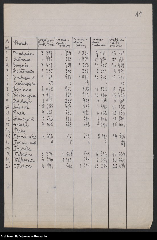 Obraz 12 z jednostki "[Spis inwentarza żywego w Księstwie Poznańskim w obrębie linii demarkacyjnej z 15 grudnia 1919 roku i inne spisy inwentarza żywego oraz ludności w województwie pomorskim]"