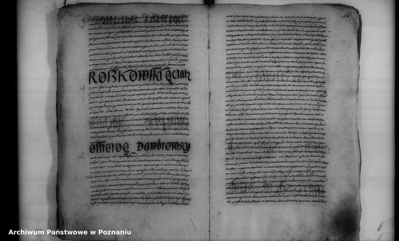 Obraz 17 z jednostki "Inscriptiones [inducta]"