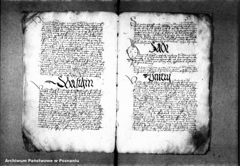 Obraz 10 z jednostki "Inscriptiones, relationes, decreta [inducta]"