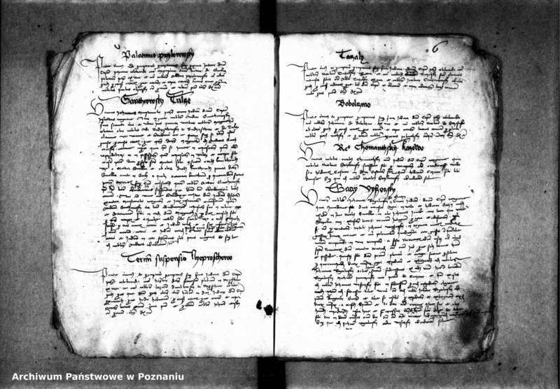 Obraz 10 z jednostki "Inscriptiones, relationes, decreta [protocollon]"